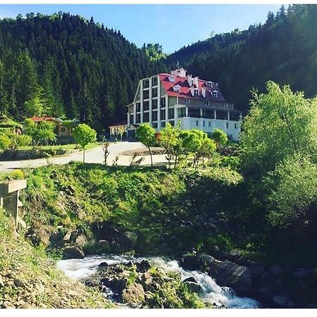 Hotel Green Valley Savsat Zewnętrze zdjęcie