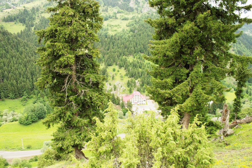 Hotel Green Valley Savsat Zewnętrze zdjęcie