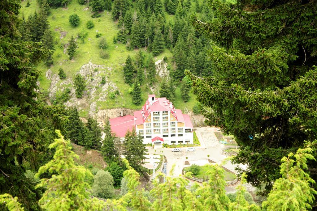Hotel Green Valley Savsat Zewnętrze zdjęcie