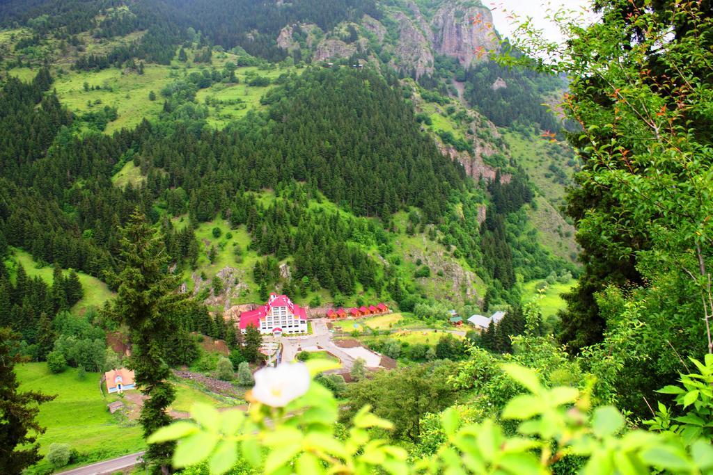 Hotel Green Valley Savsat Zewnętrze zdjęcie