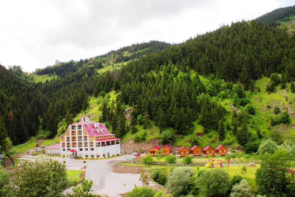 Hotel Green Valley Savsat Zewnętrze zdjęcie