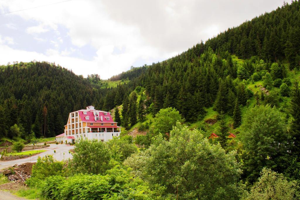 Hotel Green Valley Savsat Zewnętrze zdjęcie