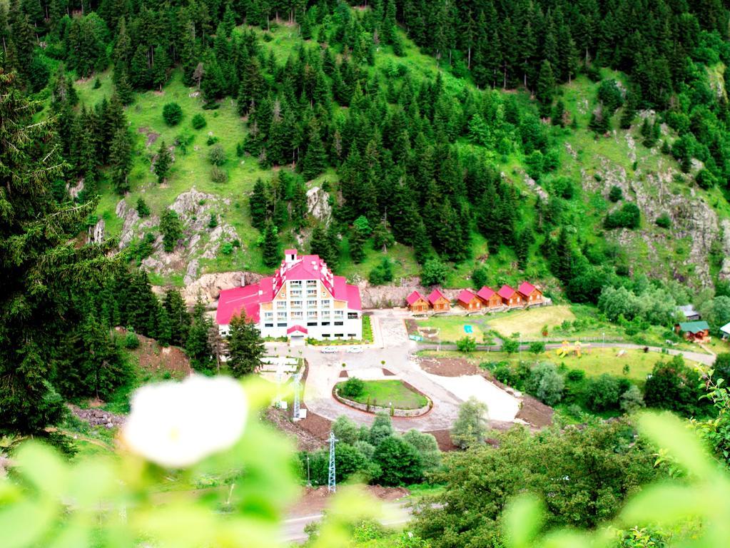 Hotel Green Valley Savsat Zewnętrze zdjęcie
