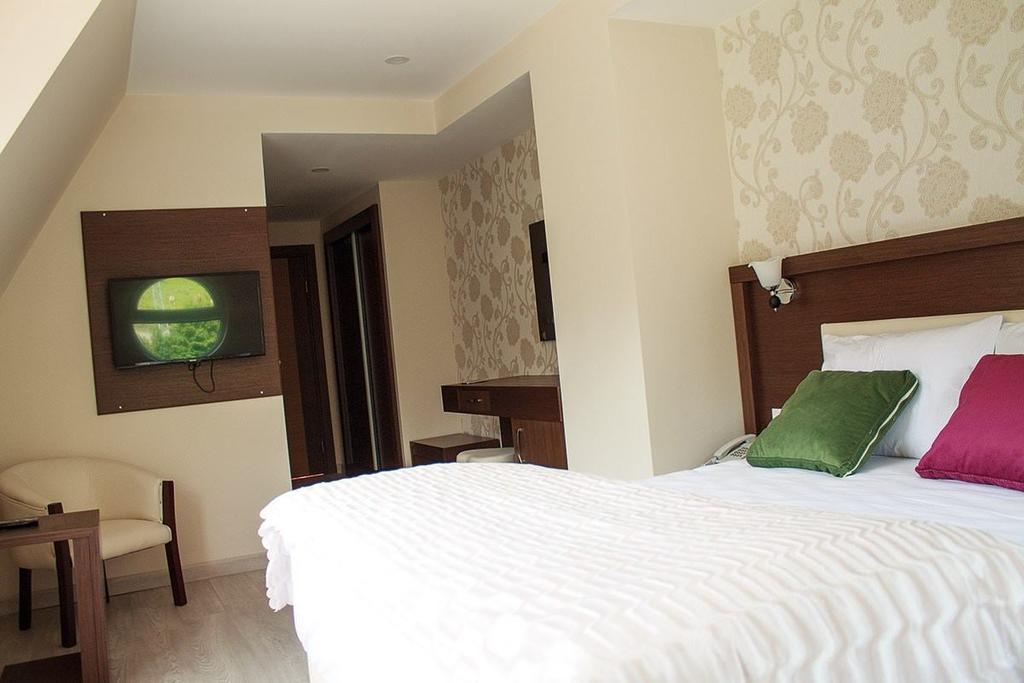 Hotel Green Valley Savsat Pokój zdjęcie