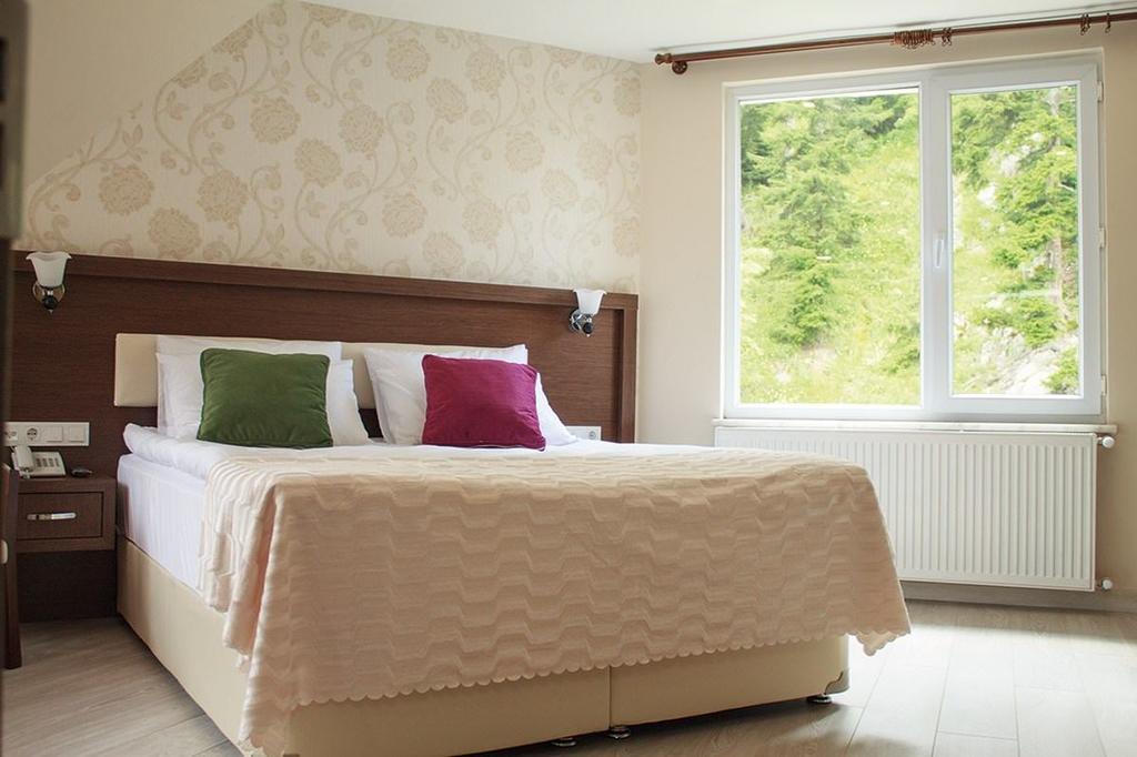 Hotel Green Valley Savsat Pokój zdjęcie